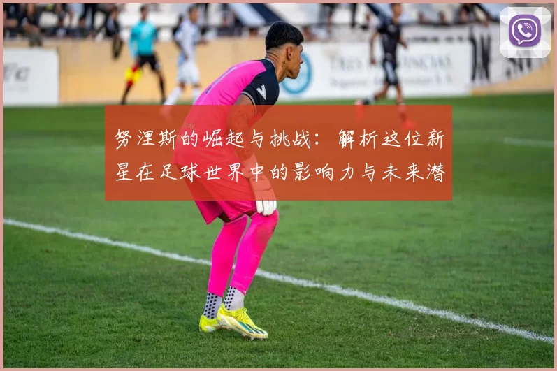 努涅斯的崛起与挑战：解析这位新星在足球世界中的影响力与未来潜力