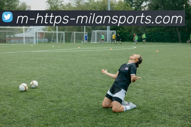 米兰官网APP 封面图